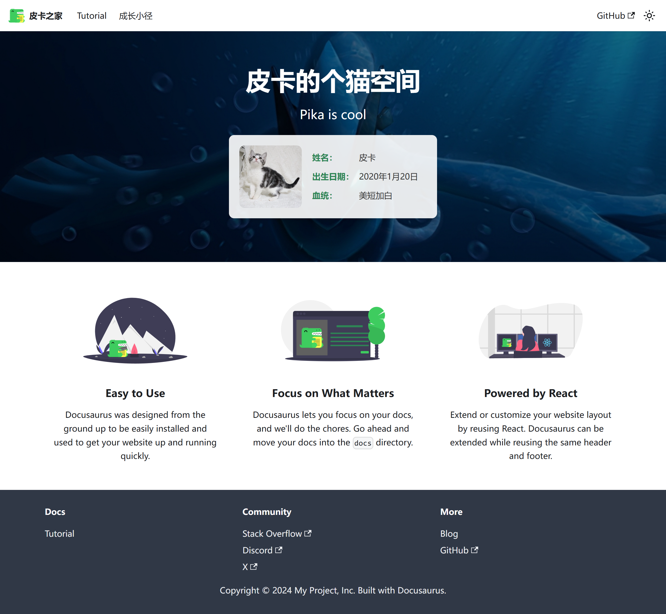 Sasa's Blog Homepage Screenshot